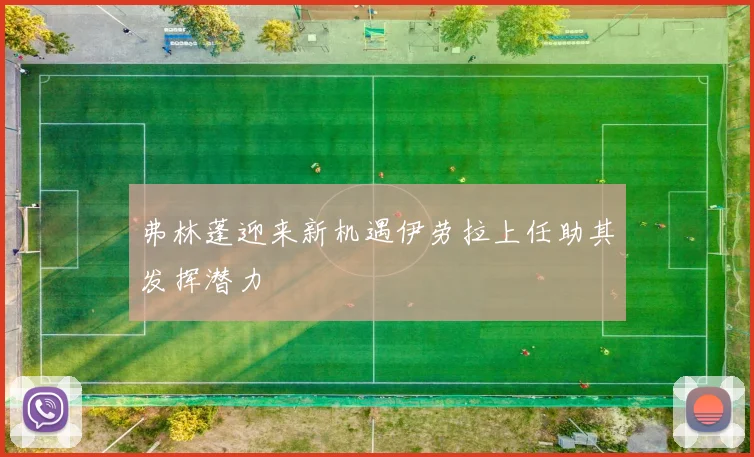 弗林蓬迎来新机遇伊劳拉上任助其发挥潜力