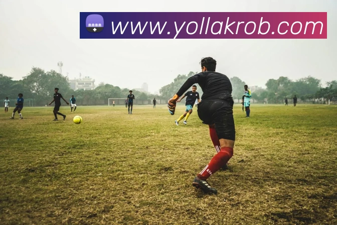 雷火平台网页版平台生态图